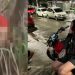 Vídeo forte: blogueiro do Comand0 Vermelh0 decapitad0 tem cabeça pendurada na árvore 