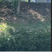 Vídeo: C0rp0 é encontrado no igarapé do Mindu, preso na eco barreira
