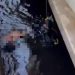 Jovem de 18 anos m0rr3 af0gada ao tentar atravessar embarcações no rio em Manaus
