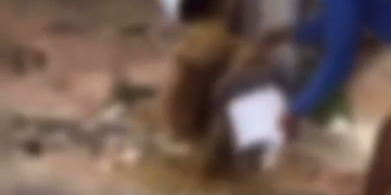 Vídeo: Suspeito de r0ub0 é amarr@d0 e coberto de f3zes pelos moradores
