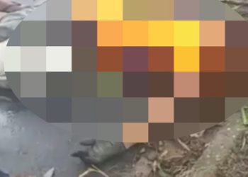 Vídeo: veja como ficou homem que escorregou e caiu da mangueira hoje à tarde em Manaus