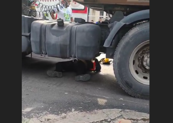 Vídeo mostra motociclista debaixo de carreta após tentar ultrapassagem em Manaus; veja