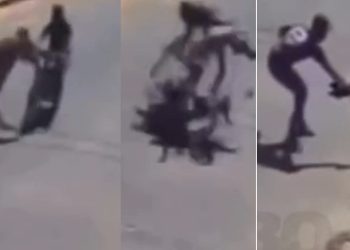 Câmera grava momento em que motoqueiro e cavalo m0rrem ao baterem na rua