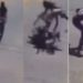 Câmera grava momento em que motoqueiro e cavalo m0rrem ao baterem na rua