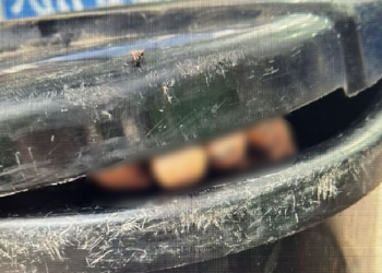 Homem encontrado m0rt0 dentro de lixeira pode ter sido alvo de grupo no Centro de Manaus