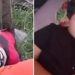 Vídeo forte: neto de 12 anos e avô m0rrerem dentro de casa em incêndio no Amazonas