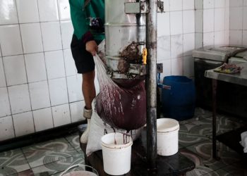 Alerta: açaí vendido no Centro de Manaus pode estar contaminado por bactérias