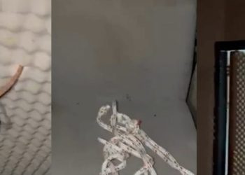 Veja como é o quarto da t0rtura secreto do Comand0 Vermelh0 revelado pela PC