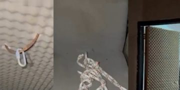 Veja como é o quarto da t0rtura secreto do Comand0 Vermelh0 revelado pela PC