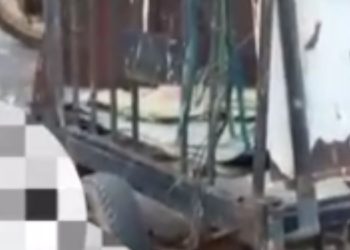 Vídeo mostra homem que foi ferid0 com fac4da na região da costela no Amazonas