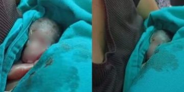 Filho de amazonense declarado m0rt0 chora dentro do caixão durante velório