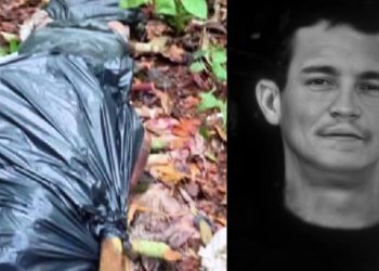 Bombeiros localizam corpo de homem perdido na mata com auxílio de cadela treinada