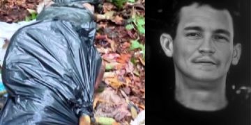 Bombeiros localizam corpo de homem perdido na mata com auxílio de cadela treinada