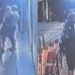 Vídeo mostra manauara sendo ass4ssin4d0 enquanto segurava bebê no colo em Florianópolis