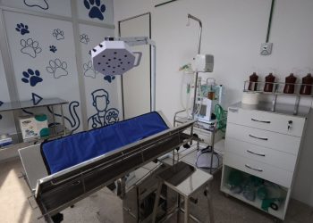 Em Manaus, maior Hospital Público Veterinário da América Latina é inaugurada