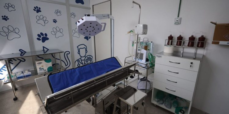 Em Manaus, maior Hospital Público Veterinário da América Latina é inaugurada