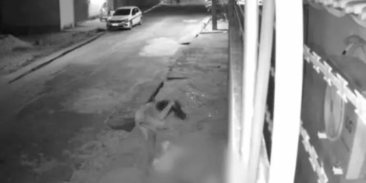 Vídeo: Mulher mat4 irmão a fac4d4s durante discussão envolvendo mãe e cunhado
