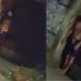 Veja: Grupo Pedala Livre é surpreendido por homem arm4d0 durante trajeto noturno em Manaus