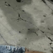 Veja: Cunhados discut3m e um deles acaba m0rt0 com t1r0 no peito no bairro Zumbi