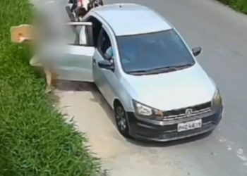 Mãe e filha são investigadas por maus-trat0s após serem flagradas abandonando cães no Nova Cidade