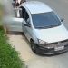 Mãe e filha são investigadas por maus-trat0s após serem flagradas abandonando cães no Nova Cidade