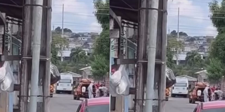 Cachorro m0rr3 e mulher fica f3rida após ataque de abelhas em rua no bairro Mutirão