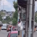 Cachorro m0rr3 e mulher fica f3rida após ataque de abelhas em rua no bairro Mutirão