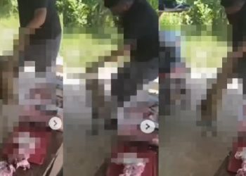 Vídeo: homem que surr0u cão que cheirou a carne dele é jurad0: ‘fazer a mesma coisa’