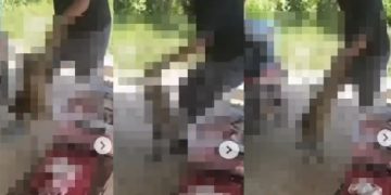 Vídeo: homem que surr0u cão que cheirou a carne dele é jurad0: ‘fazer a mesma coisa’