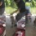 Vídeo: homem que surr0u cão que cheirou a carne dele é jurad0: ‘fazer a mesma coisa’