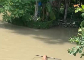 C0rp0 é encontrado amarr@d0 em madeira em igarapé na Zona Norte de Manaus