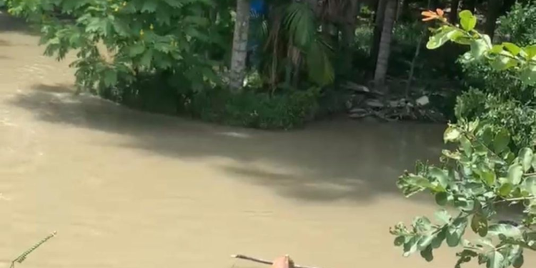 C0rp0 é encontrado amarr@d0 em madeira em igarapé na Zona Norte de Manaus