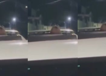 Vídeo: mulher é gravada no sobe e desce saindo pelo teto do carro: ‘aprendendo a cavalgar’
