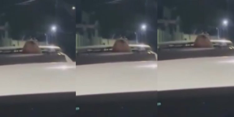 Vídeo: mulher é gravada no sobe e desce saindo pelo teto do carro: ‘aprendendo a cavalgar’