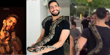 Cobra vista ‘passeando’ com tutor na Ponta Negra se chama ‘Bernardo’ e faz sucesso nas redes sociais; veja