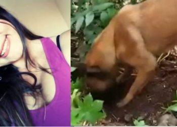 Cão farejador da PM encontra cova rasa onde estava corp0 de jovem desaparecida no São Geraldo