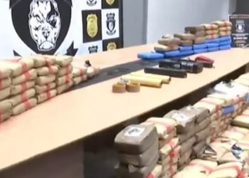 Vídeo: polícia do Amazonas tomba R$ 5,5 milhões em dr0gas reservadas ao Pará