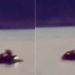 Vídeo mostra casal “fazendo menino” em cima do Jet Ski em Manaus: ‘que inveja’