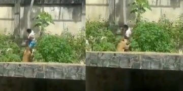 Vídeo forte: homem entra na jaula dos leões e m0rre comid0 dentro de zoológico
