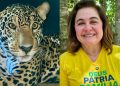 ‘Tem quem gosta de tirar foto e tem quem gosta de fazer o trabalho’, diz Maria do Carmo sobre oportunismo político na soltura de onça resgatada no rio Negro