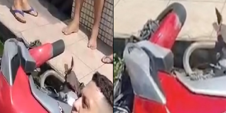 Vídeo: Motociclista quase d3c3p@ a p3rna ao ser atingido por carro no conjunto Ajuricaba