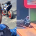 Vídeo: Piloto m0rr3 após acident3 durante show de motocross na frente de milhares de espectadores