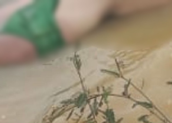 No Careiro Castanho, pescad0r encontra c0rp0 de homem sem um dos 0lh0s