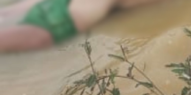 No Careiro Castanho, pescad0r encontra c0rp0 de homem sem um dos 0lh0s