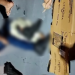 Vídeo: Des3sperad0, motociclista ch0ra de d0r após ac1dente com carro em Manaus