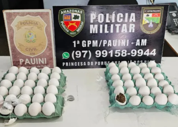 Mulher é pres@ ao tentar entrar com dr0gas em ovos de galinha em delegacia de Pauini