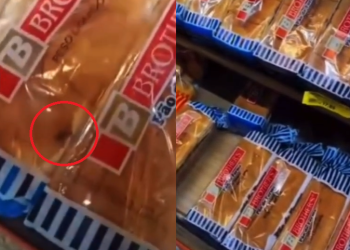 Cliente flagra infestação de baratas em pacotes de pão no supermercado DB na Zona Norte