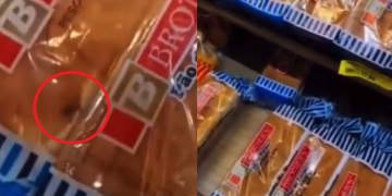 Cliente flagra infestação de baratas em pacotes de pão no supermercado DB na Zona Norte