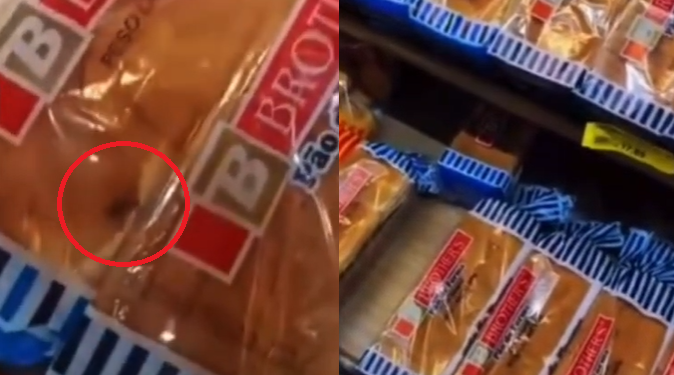 Cliente flagra infestação de baratas em pacotes de pão no supermercado DB na Zona Norte