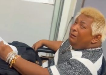 Dentista se emociona ao ver Patixa perdida no aeroporto a caminho de Manaus: ‘ela é especial’